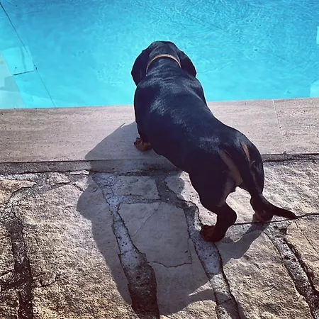 Bed & Breakfast Luxury 4*