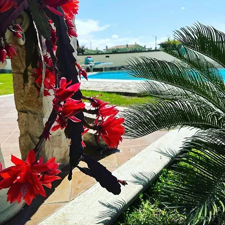 Alojamento de Acomodação e Pequeno-almoço Luxury