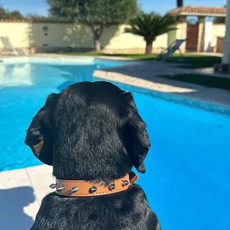 Luxury Bed & Breakfast