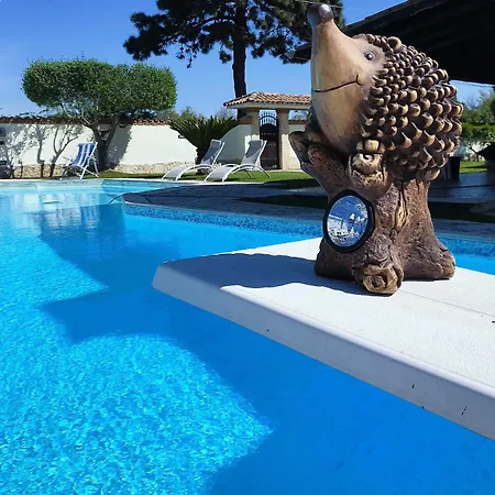 Panzió Luxury