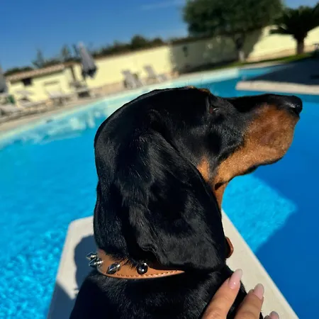 Luxury * Anzio