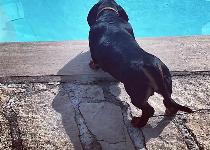 Bed and Breakfast Luxury 4*