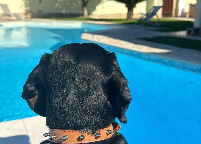 Luxury Bed and Breakfast